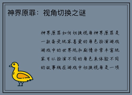 神界原罪：视角切换之谜